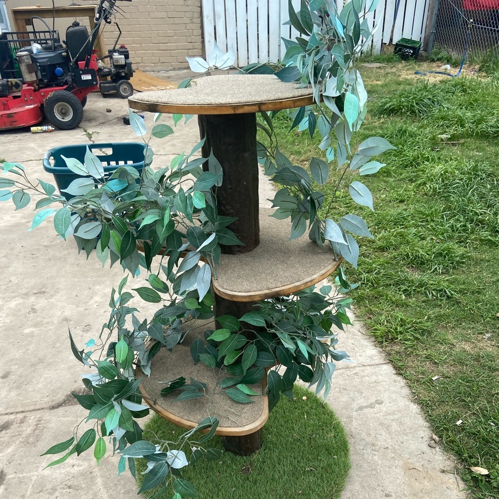Cat Graden house